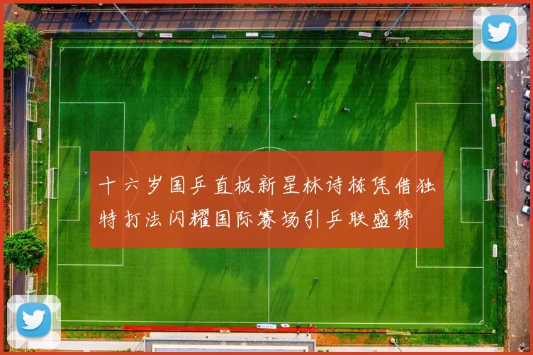 十六岁国乒直板新星林诗栋凭借独特打法闪耀国际赛场引乒联盛赞