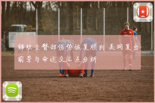 锦织圭臀部伤势恢复顺利 美网复出前景与命运交汇点分析